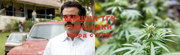 прущие грибы Армянск
