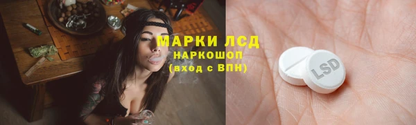 соль ск Белокуриха